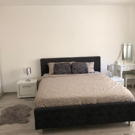 Appartement Skepsis Apartament à Alba Iulia Extérieur photo