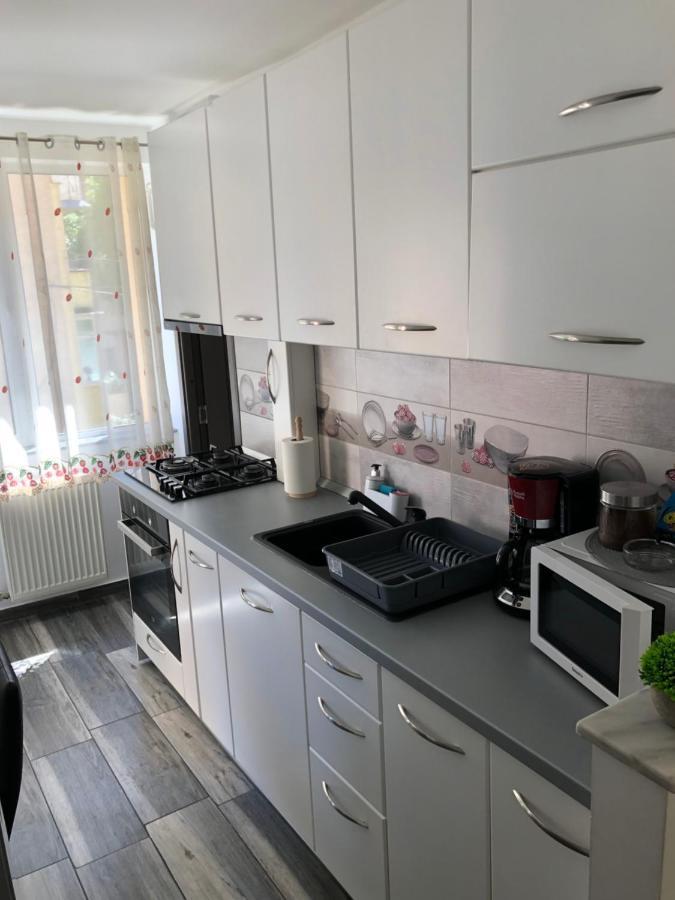 Appartement Skepsis Apartament à Alba Iulia Extérieur photo
